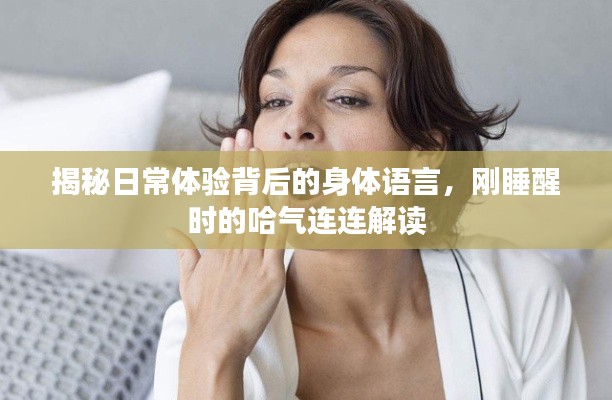 揭秘日常体验背后的身体语言,刚睡醒时的哈气连连解读