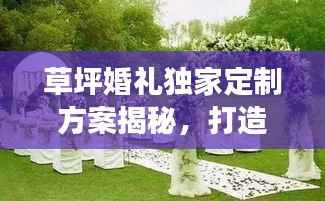 草坪婚礼独家定制方案揭秘,打造浪漫绿色盛事!