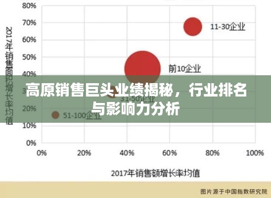 高原销售巨头业绩揭秘,行业排名与影响力分析