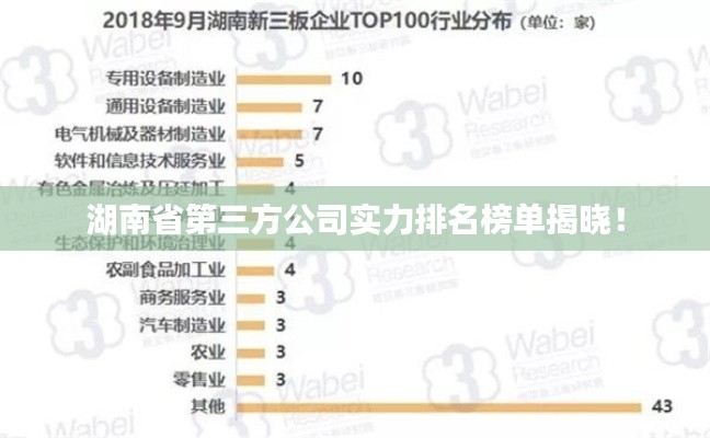湖南省第三方公司实力排名榜单揭晓!