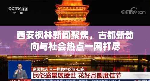 西安枫林新闻聚焦，古都新动向与社会热点一网打尽