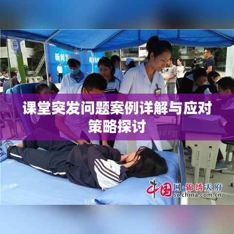 课堂突发问题案例详解与应对策略探讨