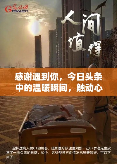 感谢遇到你，今日头条中的温暖瞬间，触动心灵的人性之美