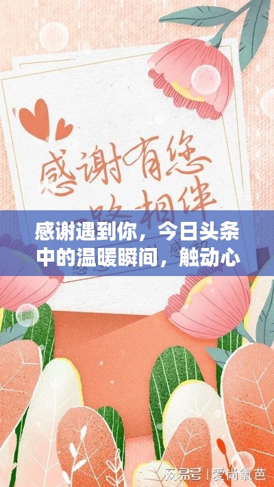 感谢遇到你,今日头条中的温暖瞬间,触动心灵的人性之美