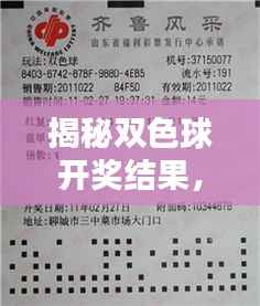 揭秘双色球开奖结果,彩票背后的神秘面纱全解析