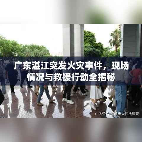 广东湛江突发火灾事件,现场情况与救援行动全揭秘