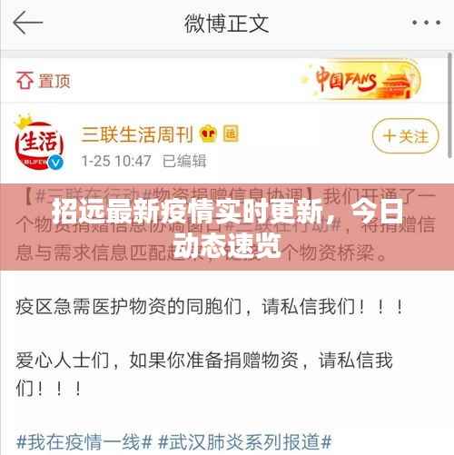 招远最新疫情实时更新,今日动态速览