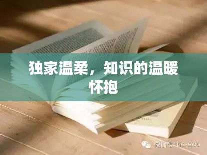 独家温柔,知识的温暖怀抱