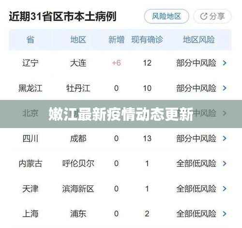 嫩江最新疫情动态更新