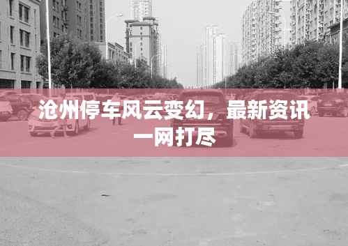 沧州停车风云变幻,最新资讯一网打尽
