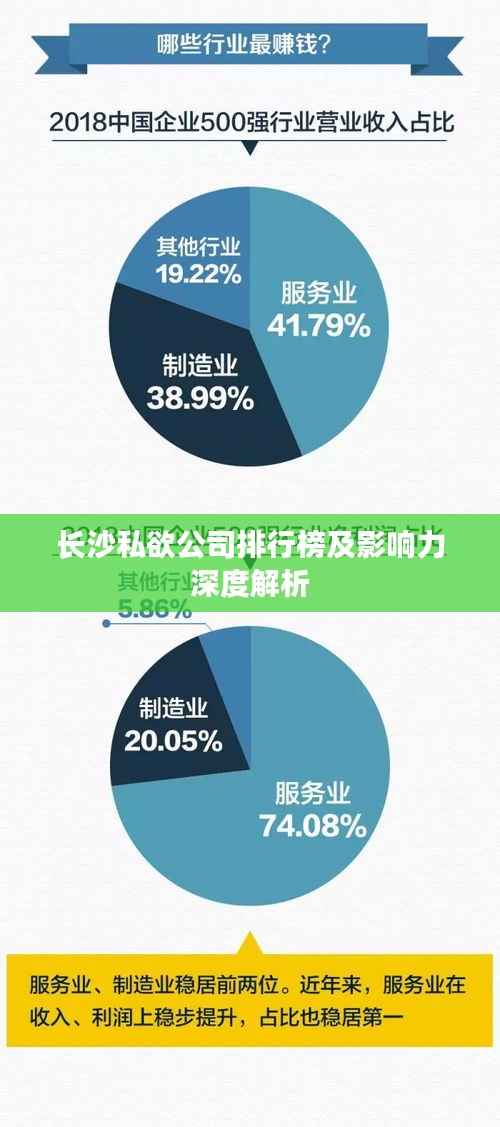 长沙私欲公司排行榜及影响力深度解析