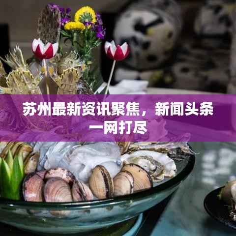 苏州最新资讯聚焦,新闻头条一网打尽