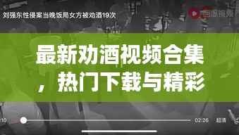 最新劝酒视频合集，热门下载与精彩赏析