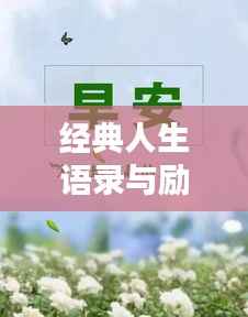 经典人生语录与励志文案,激发无限潜能,启迪智慧人生