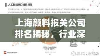 上海颜料报关公司排名揭秘，行业深度分析报告