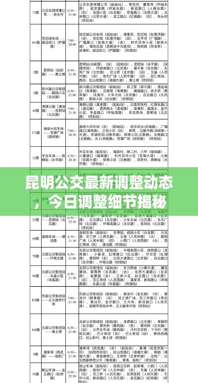 昆明公交最新调整动态，今日调整细节揭秘